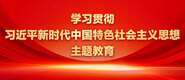 骚鸡鸡网址学习贯彻习近平新时代中国特色社会主义思想主题教育_fororder_ad-371X160(2)